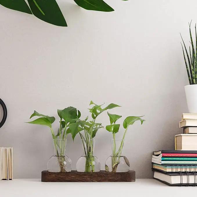 YIBOT Propagation Stations,Plant Propagation Vase,Desk Plant Terrarium with Retro Wooden Stand,Plant Lover Gifts for Women for Hydroponics Plants Home Garden Wedding Decor(3 Vase) by GreenHaven Gardens