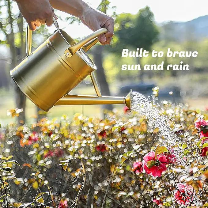 1 Gallon Watering Can for Plants, Watering Cans for Indoor&Outdoor Gardening, Galvanized Steel Watering Pot with Removable Spout, Metal Water Can with Ergonomic Movable Handle(Gold) by GreenHaven Gardens