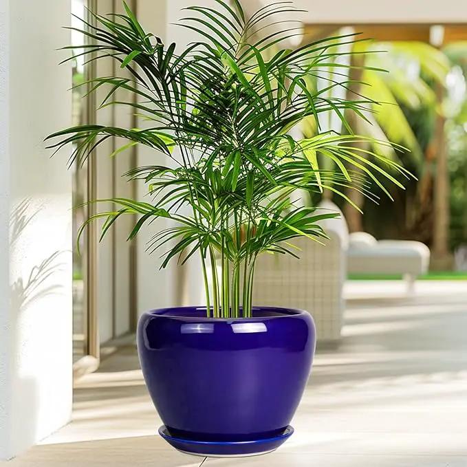 Ceramic Plant Pot 8 Inch - Planter for Outdoor Plants Indoor Plant Pot with Drainage Hole and Saucer Decorative Round Planter Modern Flower Pot for House Decor Blue by GreenHaven Gardens