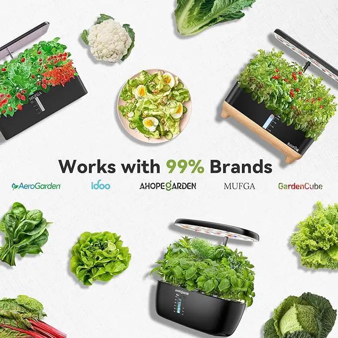 inbloom Salad Green Seed Pod Kit for AeroGarden, Ahopegarden, GARDENCUBE, MUFGA, 12 Pods (350+ Seeds with American Fast/Paris Island/Buttercrunch Lettuce, Swiss Chard, Spinach, Cauliflower, Cabbage) by GreenHaven Gardens