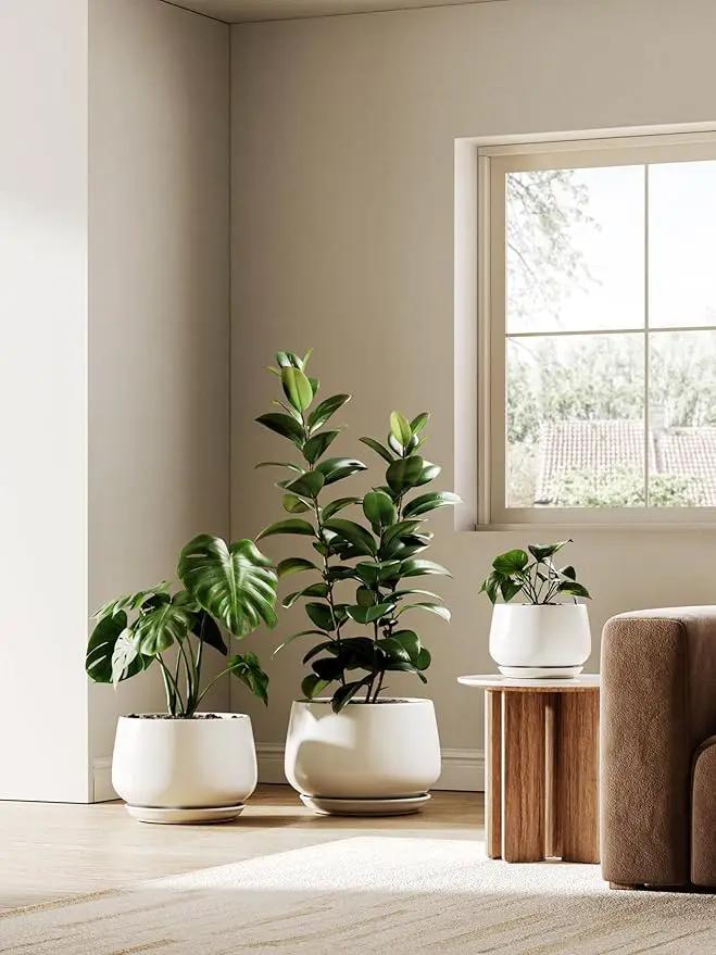 LE TAUCI Ceramic Planters, 10 Inch Pots for Plants, Indoor Plant Pots with Drainage Holes and Saucers, Modern Planters Fit Mid Century Plant Stand, Flower Pots for Indoor Plants, White by GreenHaven Gardens