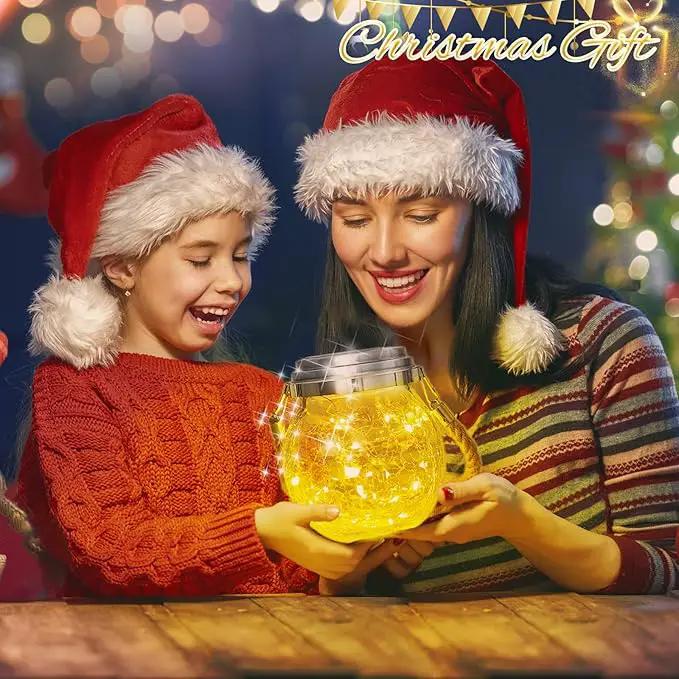 ROSHWEY Solar Lantern, 2 Pack Outdoor Lanterns with 30 LED Waterproof Garden Decor Patio Solar Lights Outdoor Decorative Backyard Outdoor Hanging, Warm Light by GreenHaven Gardens