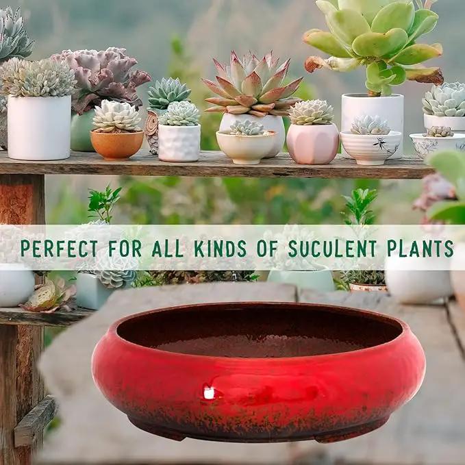 ARTKETTY Succulent Pots - 11.5 Inch Ceramic Bonsai Pots with Drainage, Large Shallow Succulent Planters for Indoor Outdoor Plants, Round Glazed Cactus Flower Plant Container Bowl Home Desk Decor(Red) by GreenHaven Gardens