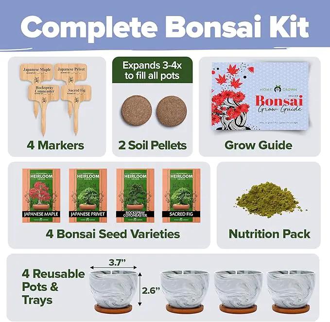 HOME GROWN Bonsai Tree Kit - Premium Ceramic Starter Kit - 4 Variety of Bonsai - Unique Gift for Men and Women Gardeners by GreenHaven Gardens