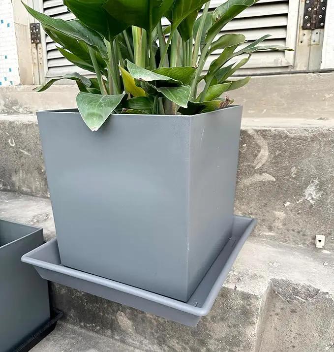 Square Plant Saucer 10 Inch 5 Pack, Plant Stand Flower Pot No Holes, Gray Plant Trays for Pots Heavy Duty Plastic Plant Saucers for Indoors Outdoors Plant Lover Gardening Gifts by GreenHaven Gardens