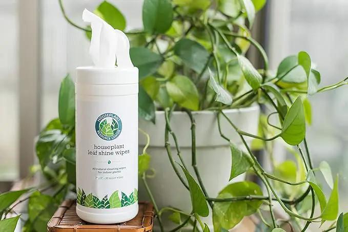 Leaf Cleaner Wipes for House Plants - Sparkling Leaf Shine for Indoor Plants - Houseplant Resource Center Plant Cleaning Wipes for Leaves - Root and Plant Duster Wipes (30 Count) by GreenHaven Gardens