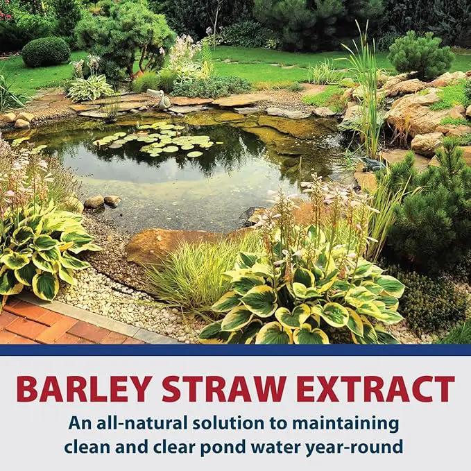 The Pond Guy Barley Extract Natural Liquid Treatment for Ponds and Water Gardens, Safe for Koi Fish and Plants, Natural Solutions for Clear Pond Water - 1 Gallon by GreenHaven Gardens