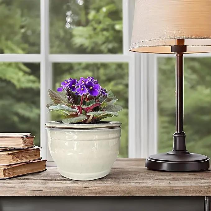 African Violet Pots Self Watering Round Ceramic Violet Pot (White, 6 inch) by GreenHaven Gardens
