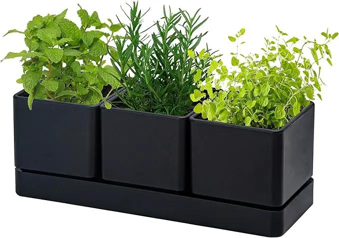 D'vine Dev Herb Garden Planter Set, Plastic Plant Pots with Drainage and Saucer, Indoor Succulent Cactus Vegetable Pot for Windowsill, Garden Balcony, Black, Set of 1, 76-V-B-1 by GreenHaven Gardens