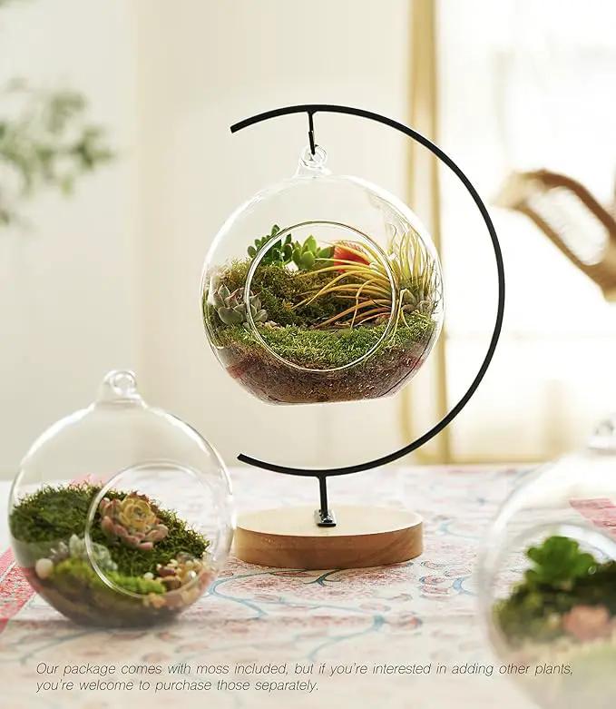 15-Piece Terrarium Kit with Live Moss – DIY Glass Globe Set with Tools, Soil, Stones & Spray Bottle – Indoor Mini Garden Gift for Plant Lovers, Home Decor & Zen Craft by GreenHaven Gardens