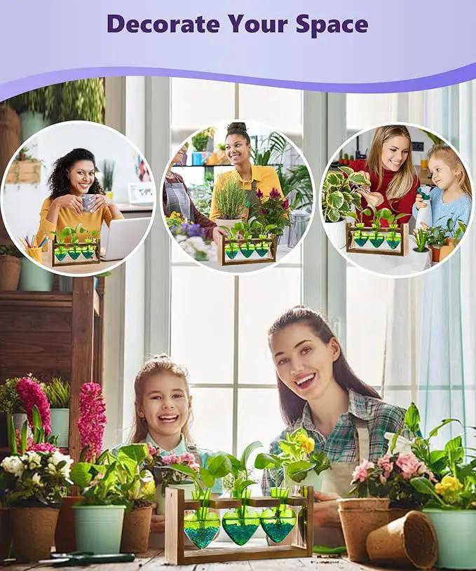 Nacome Plant Terrarium for Office Decor: Birthday Gifts for Plant Lovers Women Mom Wife - Wooden Stand Tabletop Planter 3 Bulb Glass Vase Heart Shaped for Hydroponics Indoor Home(Green) by GreenHaven Gardens