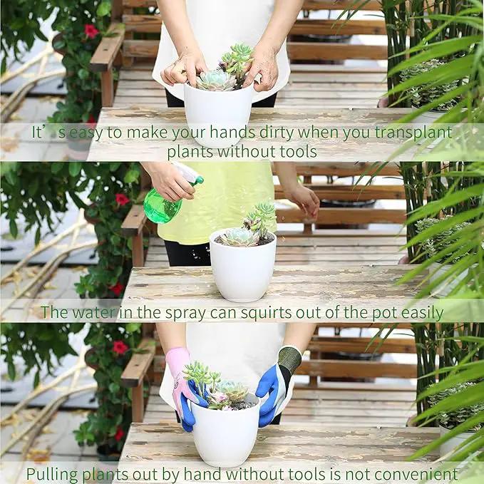 11Pcs Succulent Tools,Mini Garden Tools,Succulent Watering Tool as Plant Accessories,Succulent Gardending Hand Tools Kit for Seedling Soil,Caring Succulent,Houseplant,Gifts for Woman (No Flowerpot) by GreenHaven Gardens