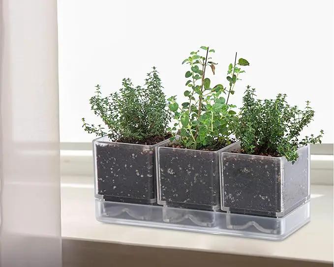 D'vine Dev Herb Garden Planter Set, Plastic Plant Pots with Drainage and Saucer, Indoor Succulent Cactus Vegetable Pot for Windowsill, Garden Balcony, Clear, Set of 1, 76-V-D-1 by GreenHaven Gardens