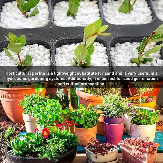 Norcal Perlite Horticultural Organic Certified Premium Screened Coarse – Garden Indoor Outdoor Plants – Soil Additive Better Aeration and Drainage - 4 Cubic Feet (103 Quarts) 1 Bag by GreenHaven Gardens