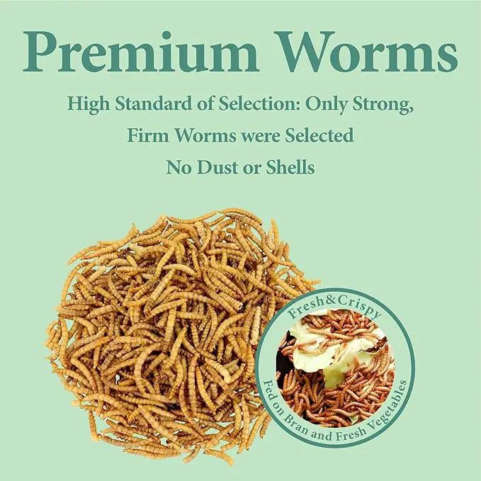 11 LBS Dried Mealworms, Non GMO, High Protein Treat for Chicken, Duck, Birds, Reptile, Hamster,Hedgehog by GreenHaven Gardens