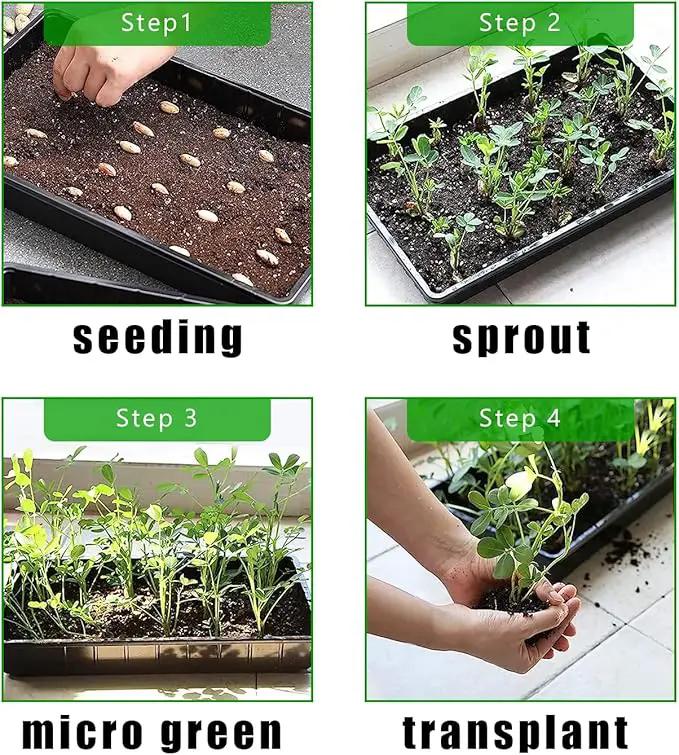 Plant Growing Nursery, Standard 1020 Trays Plastic Sturdy Farmer Self Seedling Tray for Microgreens Indoor Nursery Pots Transplantation (5-Pack, 21.6"×11.2", 2.52" Deep, no Holes) by GreenHaven Gardens