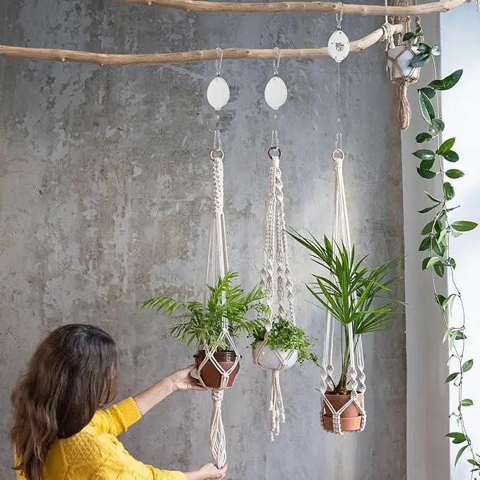 Plant Pulleys for Hanging Plants, Heavy Duty Retractable Hangers, 304 Stainless Steel Rope, Auto Plant Holder, Adjustable Climbing Hook for Garden Baskets Watering, or Bird Feeders 2PC (White) by GreenHaven Gardens
