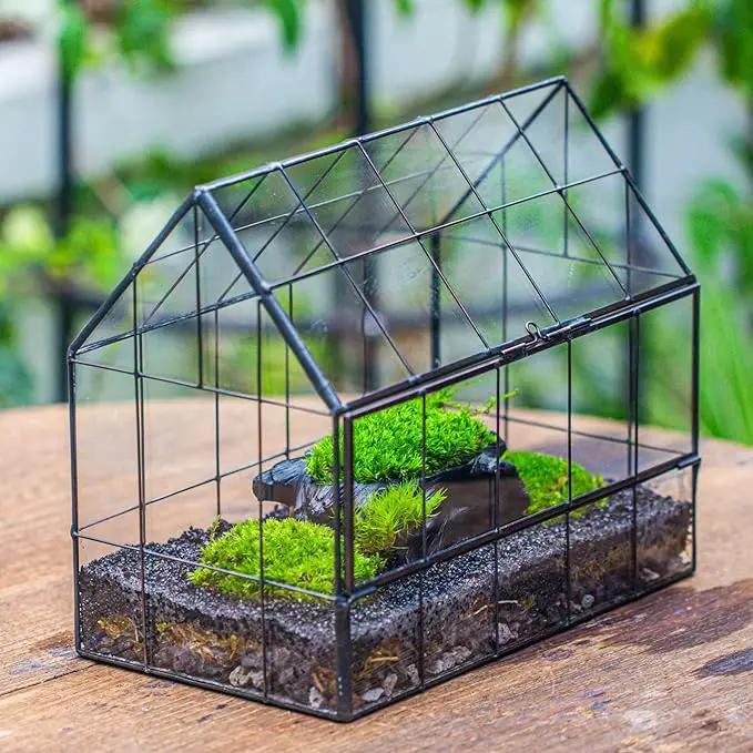 NCYP Geometric Glass Terrarium with Front Opening Door, House Shape Closed Micro Landscape Planter Box for Small Succulent, Cacti - Home Indoor Tabletop Decor, Handmade, Black (No Plants) by GreenHaven Gardens