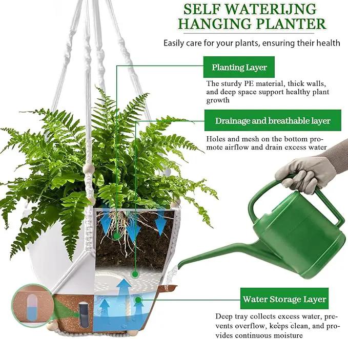 10 Inch Hanging Planters for Indoor Plants, 2 Pack Self Watering Hanging Baskets Flower Pots with Drainage Hole, Visual Reservoir & 2 Kinds of Plant Hanger for Outdoor Garden Home Decor by GreenHaven Gardens