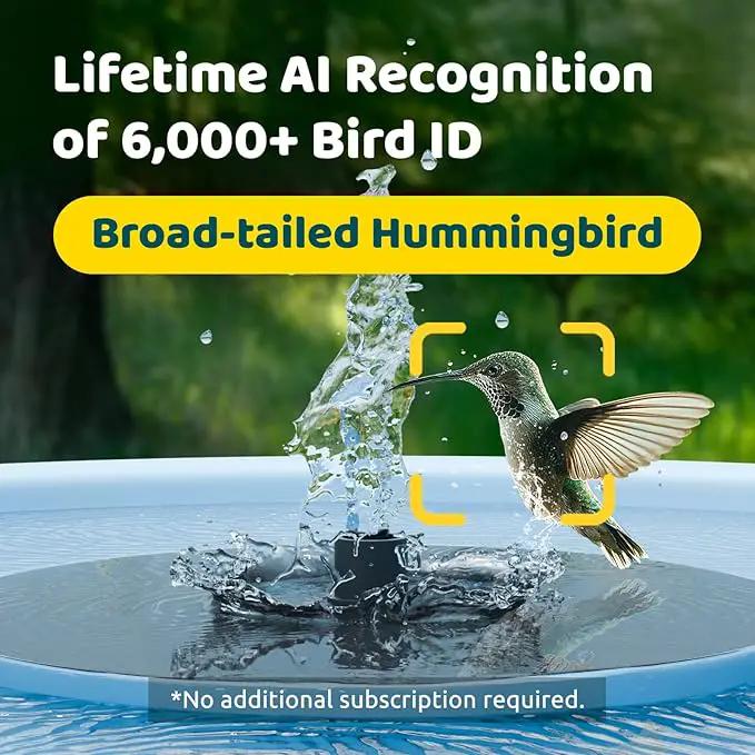 Birdfy Smart Bird Bath with Camera Solar Powered & Fountain, Dual-Lens Camera for Wildbird Watching, Auto Capture Bird Videos & Motion Detection - AI Lifetime Version by GreenHaven Gardens