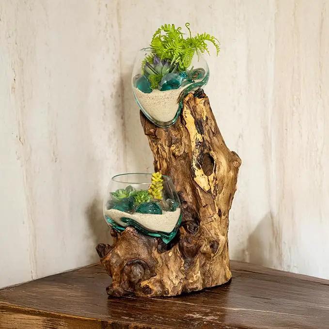 Cape Craftsmen 12" H Hand-Blown Blue Tinted Bubble Glass On Natural Teak Driftwood Terrarium | Home Décor Indoor Planter with Stand | Pot for Succulent and Plants by GreenHaven Gardens