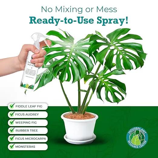 Leaf Armor Spray for Houseplants – Protects Against Fungal Leaf Spots, Bacteria, Pathogens & Yellowing | Gentle & Natural Phosphite Formula | Ready-to-Use | Made in USA – 8 oz by GreenHaven Gardens