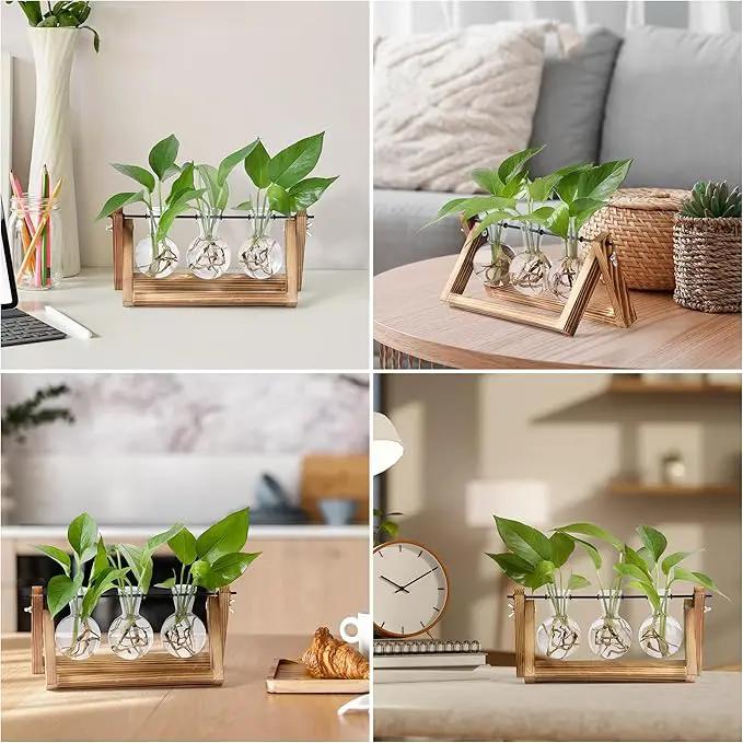 YIBOT Plants Propagation Stations,Desk Plant Terrarium with Retro Wooden Stand,Plant Lover Gifts for Women for Hydroponics Plants Home Garden Wedding Decor(3 Bulb Vase) by GreenHaven Gardens