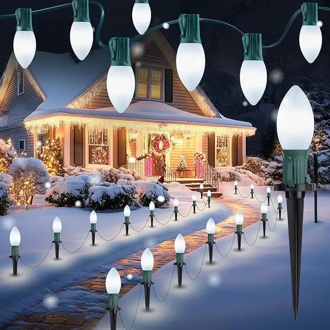 Brightown Frosted C9 LED Christmas Lights Outdoor, 32Ft Pathway Lights with 25 LED Bulbs, Pure White by GreenHaven Gardens