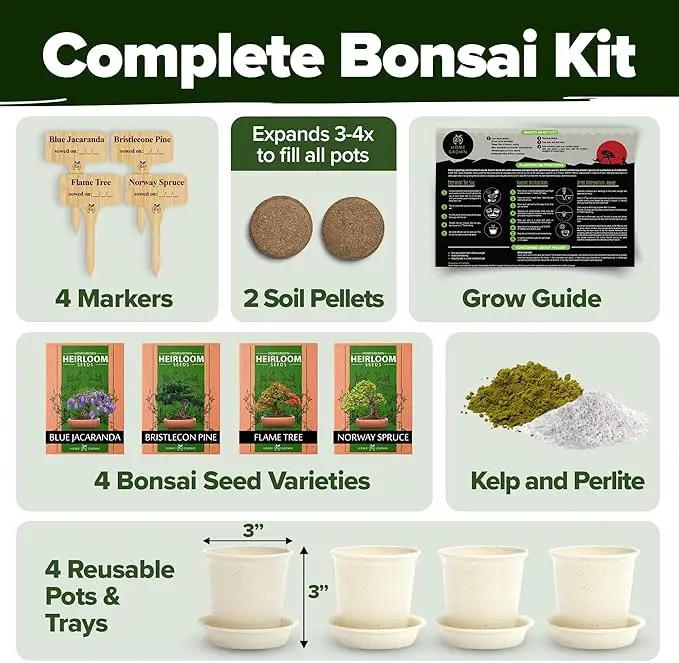 HOME GROWN Bonsai Tree Kit, Grow Your Own: Premium 4 Bonsai Trees Starter Kit | Unique Japanese Gardening Gift for Moms, Women, Men, Beginners & Gardeners | Creative Crafts for Adults BK1-2nd-MF by GreenHaven Gardens
