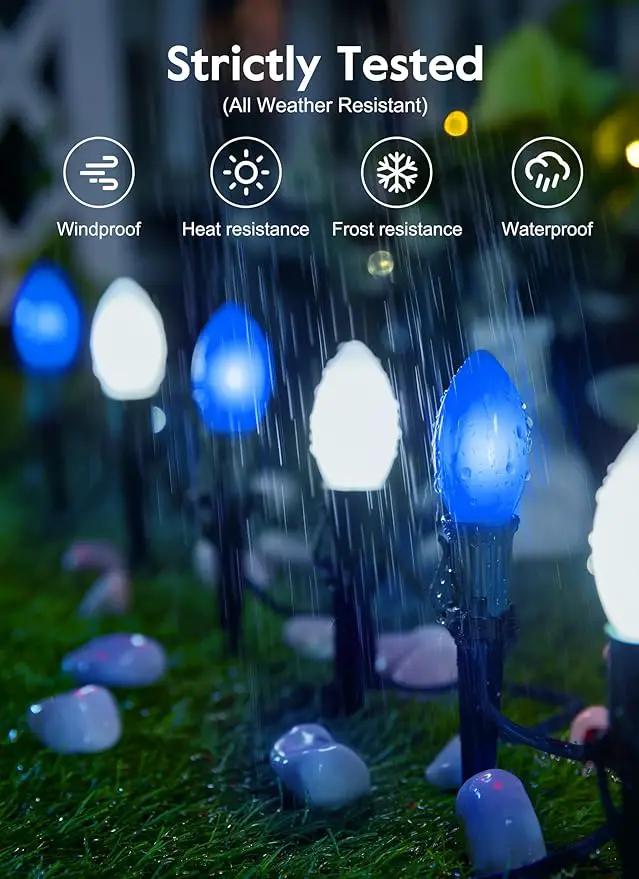 Brightown Frosted C9 LED Christmas Lights Outdoor, 32Ft Christmas Pathway Lights with 25 LED Bulbs and Stakes, Christmas Decorations Outside Driveway Walkway Sidewalk, Blue and White by GreenHaven Gardens