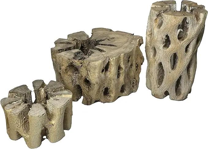 3 Natural Cholla Wood Air Plant Display Holders Tiered 1, 2 & 3 inch Individually Unique Round Decorative Stands by GreenHaven Gardens