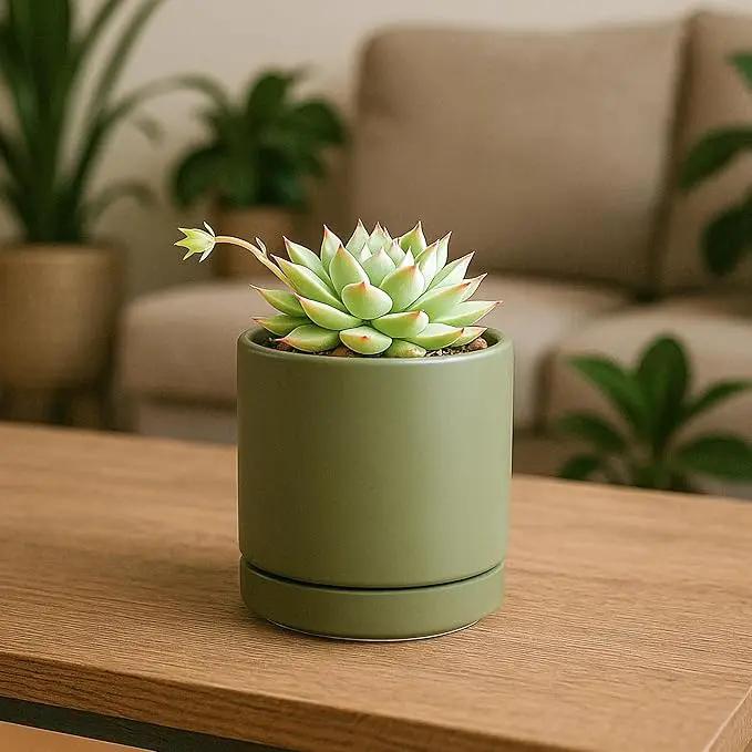 D'vine Dev 3.5 Inch Ceramic Planter Pot with Drainage Hole and Saucer, Indoor Cylinder Round Planter Pot, Olive, 94-O-A-J by GreenHaven Gardens