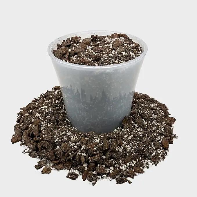 Professional Succulent Soil Premium All Purpose Blend | Pre-Mixed Ready to Use for Cactus and Succulents | Sphagnum Peat Moss, Perlite, New Zealand Pine Bark - Made in USA - 2 Quart by GreenHaven Gardens