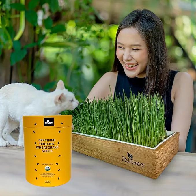 Certified Organic Wheatgrass Seeds – 12,500+ Non-GMO USDA Cat Grass Seeds in Food-Grade Container with Lid for Easy Scooping & Freshness by GreenHaven Gardens