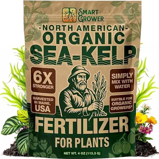 Organic Sea Kelp Fertilizer for Plants – Water-Soluble – Makes 100 Gallons – Kelp Meal Concentrate Plant Food – for Indoor Gardens, Hydroponics, Vegetables, Houseplants - Smart Grower - 4oz Bag by GreenHaven Gardens