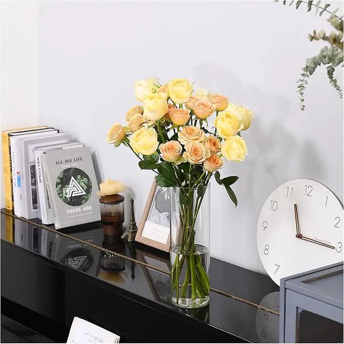 Clear Flower Vase, Non-breakable Vases, 5" W x 16" H, Acrylic Vase, Aesthetic Room Decor Cylindrical Modern Flower Vases for Table Centerpiece, Home Decor, Women Floral Arrangement Gift by GreenHaven Gardens