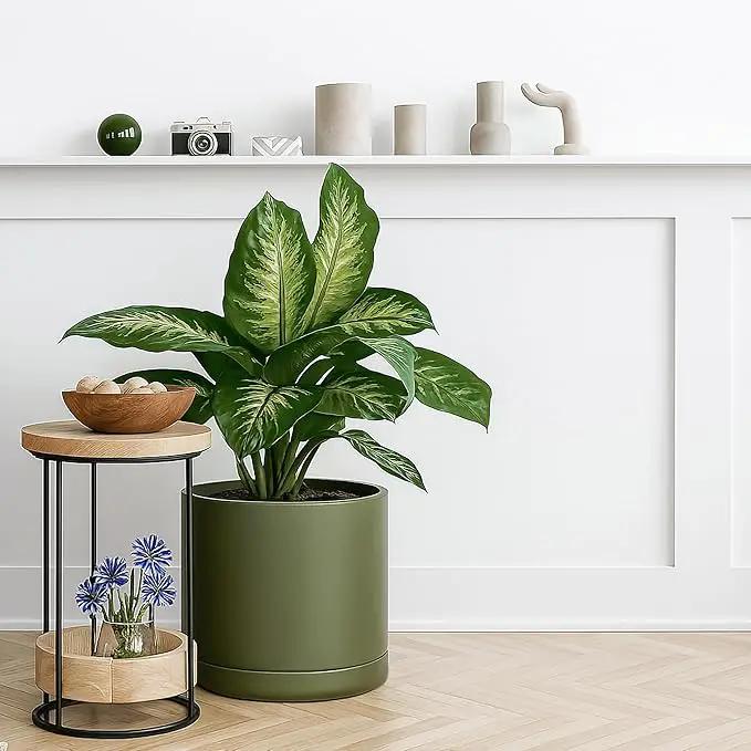 D'vine Dev 12 Inch Ceramic Planter Pot with Drainage Hole and Saucer, Indoor Cylinder Round Planter Pot, Olive, 94-O-F-J by GreenHaven Gardens