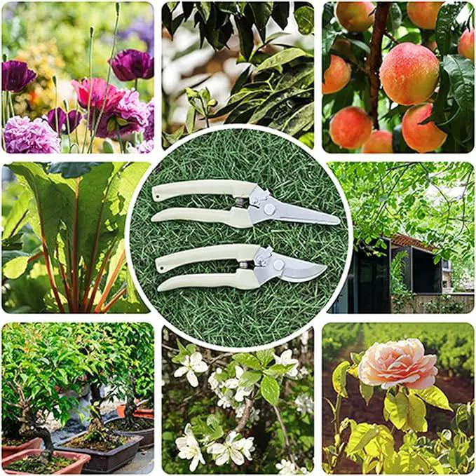 Premium garden shears, meperez pruning scissors gardening tools, pruners for flower, bushes, rose and fruit tree, use for florist, yard and orchard the plant clippers, sharp white steel anvil snips, 2 by GreenHaven Gardens