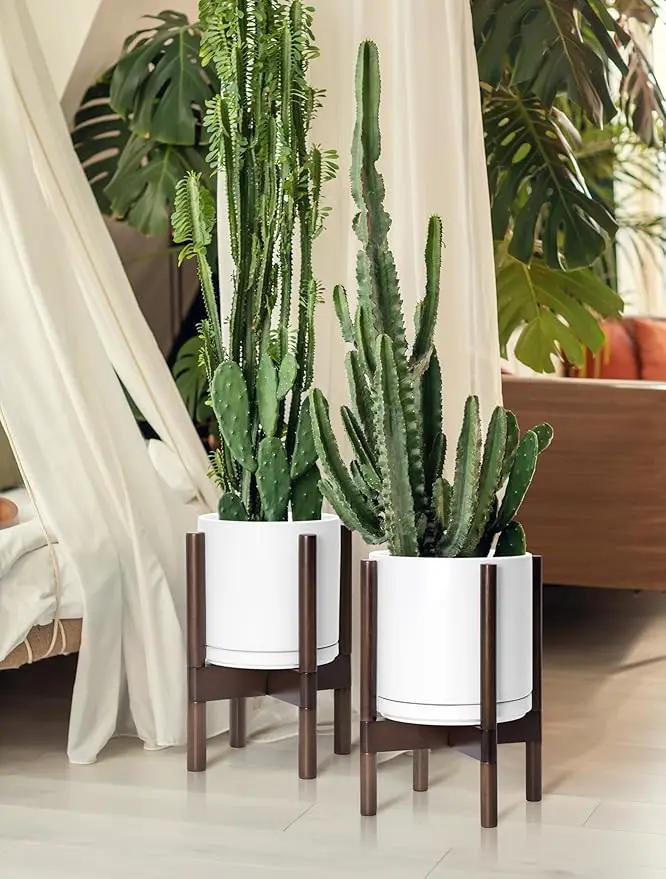 D'vine Dev Ceramic Planter with Walnut Color Stand - 8 Inch Modern Round Flower Pot with Wood Planter Holder, White, 55-B-Y-1 by GreenHaven Gardens