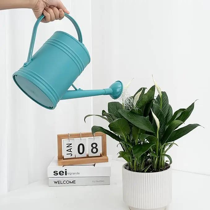 Watering Can for Indoor Plants, Flower Watering Can, Plastic Water Can for Plants, Indoor Watering Can with Sprinkler Head 68 oz, 1/2 Gallons by GreenHaven Gardens
