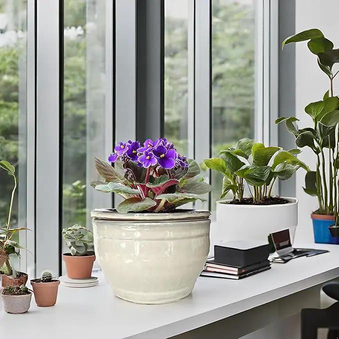 African Violet Pots Self Watering Round Ceramic Violet Pot (White, 6 inch) by GreenHaven Gardens