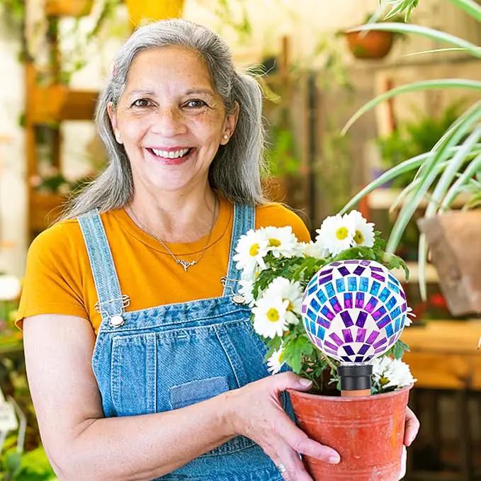 Plant Watering Globe Large Self Watering Globes 2 Pack for Indoor Outdoor Plants Self Watering Planter Insert Watering Devices for Plant Lover Gifts by GreenHaven Gardens