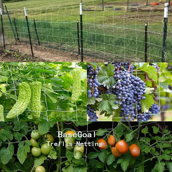 All-Weather Trellis Netting Mesh Plant Garden Vine Growing Flexible String Net (6" Mesh ployester, 5' Wx 30'L) by GreenHaven Gardens