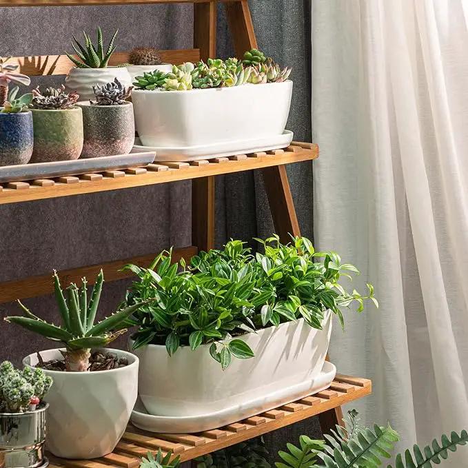 Ceramic Plant Pots, 11+14 inch, Set of 2, Planters with Drainage Holes Saucers and Mesh Pads, Indoor Flower Succulent Pot with Hole Mesh Pad, Gifts for Mom, Plants Not Included by GreenHaven Gardens