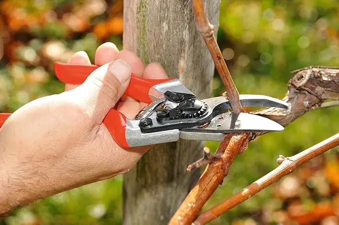 FELCO F8 Pruning Shears – 8.3" Swiss-Made Garden Clippers for Large Right Hands | Ergonomic Comfort | Hand Pruners for Gardening | Garden Tool Cutter with Precision Bypass Blade, Aluminum Handles by GreenHaven Gardens