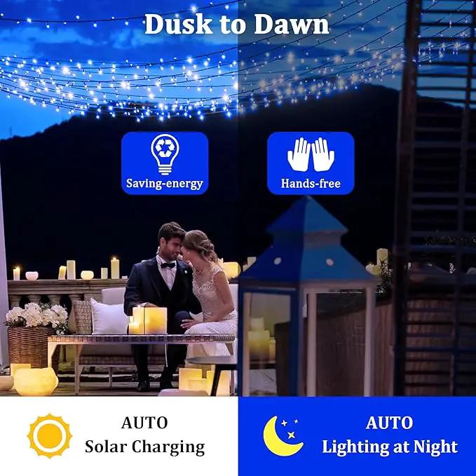 2-Pack 200FT Solar String Lights for Outside, 600 LED Extra-Bright Solar Light Outdoor with 19 Modes & Timer, Waterproof Fairy Solar Lights for Garden Patio Tree Christmas Decorations (Blue), 2021B by GreenHaven Gardens