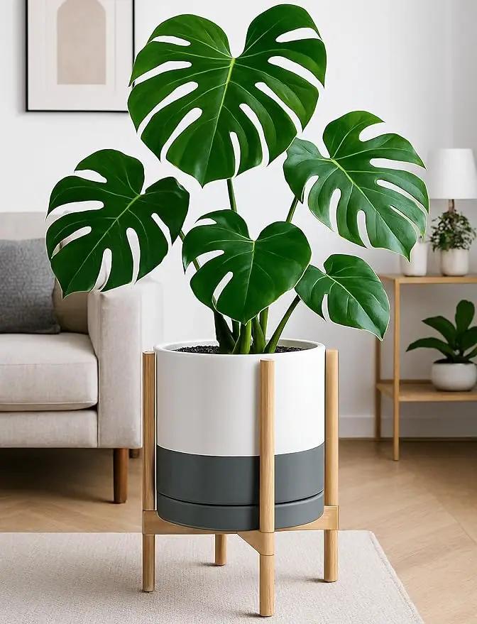 D'vine Dev Ceramic Planter with Natural Stand - 12 Inch Modern Round Flower Pot with Wood Planter Holder, White/Grey, 55-B-J-6 by GreenHaven Gardens