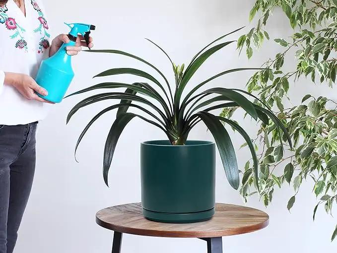 D'vine Dev Set of 2 Plants Pots, 8 Inch Ceramic Planter Pot for Plants with Drainage Hole and Saucer, Teal, 94-V-D-9 by GreenHaven Gardens