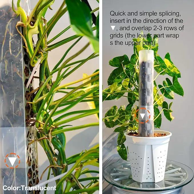 6 Pcs 17 Inch Plastic Moss Pole for Plants Monstera,Designed Specifically for Climbing Plants, Stackable Plant Support for Indoor Plants by GreenHaven Gardens