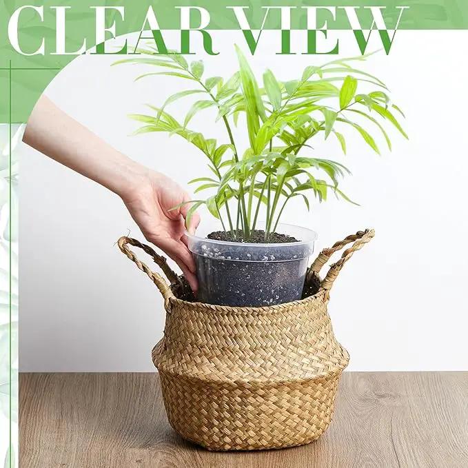 Vesici Large Size Clear Nursery Pots Variety Pack Plant Pots with Drainage Holes Planters for Indoor Plants Flexible Transparent Plastic Plant Bottle Succulents(12 Pcs,6/8/10 Inch) by GreenHaven Gardens